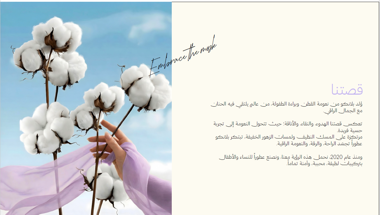 أغصان القطن البيضاء مع لمسة بنفسجية، إلهام قصة بلانكو